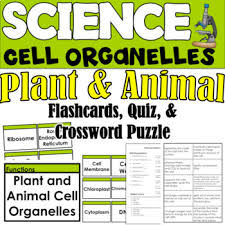 All the best and keep revising. Plant And Animal Cell Organelles Flashcards Quiz And Crossword Puzzle