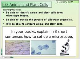 Check spelling or type a new query. Ks3 Animal And Plant Cells Teaching Resources