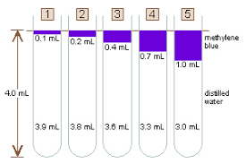 Test Tube Measurements Related Keywords Suggestions Test