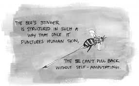 Plump and hairy, larger than most other stinging insects. Why Do Honeybees Die When They Sting Pbs Newshour