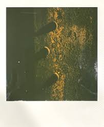 FOTO2994_SP2024_86306_Polaroid