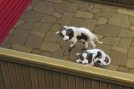 The explore mod by kawaiistacie lets your sims go out and explore the world . Stacie Returning Slowly On Twitter The Sims 4 My First Farm Animal Harvest Produce To Sell Harvest Produce To Eat Sell Animals To Farmers Harvest Animals