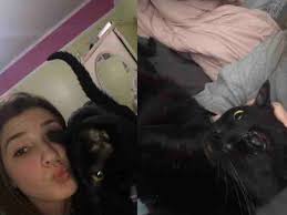 Fundraiser for Lisa Staib by Alyssa Staib : Keep Casper Home!!