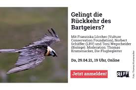 A special edition of the german bird magazine der falke, totally focussed on vultures, has recently been published (in german). Riffreporter Talk Die Ruckkehr Des Bartgeiers Lbv Gemeinsam Bayerns Natur Schutzen