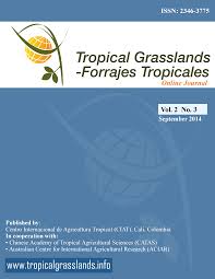 Image result for Panicum kalaharense