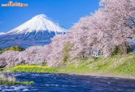 Sigilo y asesinatos en un instituto japonés. Paisajes Japoneses 2 Juegos Gratis Online En Puzzle Factory