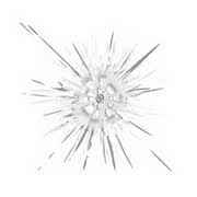 Eine versicherung für den garten benötigen alle gartenbesitzer und pächter, die im schadensfall gut abgesichert sein möchten. Garten Versichern Mit Der Kleingartenversicherung