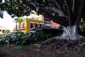 We bring true authentic mexican cuisine with some additional modern cuisine to the pacific coast of southern california with locations in santa barbara and ventura county. Living Working And Retirement In Cuernavaca