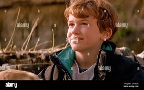 USA. Joseph Mazzello in una scena del film (C)Universal Pictures : The  River Wild (1994). Trama: Gail Hartman sta affrontando problemi con suo  marito, l'architetto di lavoro Tom. Nel giorno del compleanno