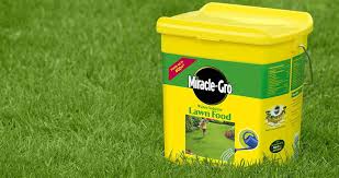 Here's what you need to do to keep your why you should water your lawn. 6 Best Lawn Feeds Water Soluble Granular Lawn Fertiliser