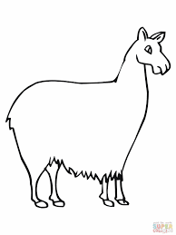 1458 x 1600 file type: Pin On Coloring Pages