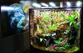 Light fixtures, such as terrarium lights, terrarium lamps and light fixtures, are an important part of your terrarium and make the difference between a healthy reptile and one. Neherp Vivarium Lighting 101 Everything You Need To Know To Grow Plants In A Live Vivarium