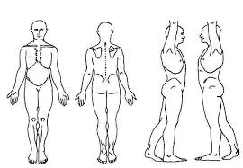 Body Chart