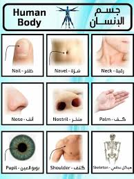 Learning Arabic Msa Fabienne English Language Learning Grammar English Language Teaching English Language Learning