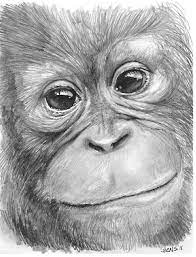 Pin On Animals In Pencil
