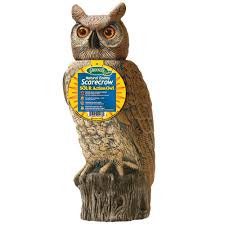 Owl pest control ltd., dublin, ireland. 18 5 In H Dalen Products Sol R Action Owl Srho 4 The Home Depot