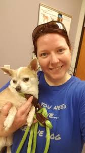 Is this missing chihuahua yours or do you know who it belongs to?