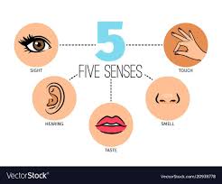 Five Human Feelings Mouth Or Lips Hand And Nose Eye And Ear Icons Sight And Smell Touch Hearing And Taste Senses Vector Illustra In 2020 Clip Art Hello Sign Nose