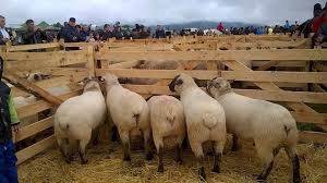 Maybe you would like to learn more about one of these? Oi De Carne Posts Facebook