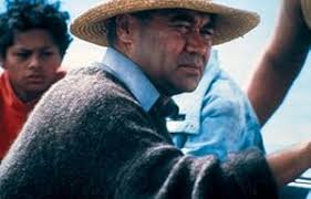 Mike Riddell: Movies, TV, and Bio