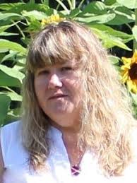 Lansing town clerk candidates make their cases