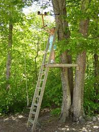 Zipline Tree Fort Tree House Kids Backyard For Kids Backyard Fort