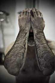 Toutes les vérités à savoir sur les poils. Pin On Bras Et Avant Bras Poilus