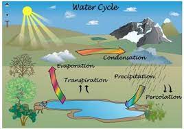 You can get the poster tentang dampak siklus air bagi kehidupan files here. Berikan Contoh Poster Tentang Dampak Siklus Air Bagi Kehidupan Beserta Gambarnyatolong Mau Brainly Co Id