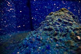 Image result for Blue Inca 2008 147