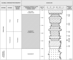 an early ordovician organic walled microphytoplankton