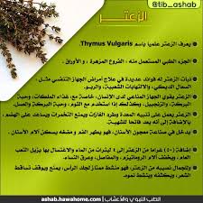 نبات الزعتر الطب النبوي والاعشاب health signs natural medicine health