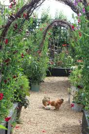 Gallery featuring pictures of 27 amazing backyard astro turf ideas, showing you that grass isn't the only option when japanese garden design guide hi and welcome back to garden ninja today i've brought myself down to. Modern Farmer 9 Backyard Gardens With Chickens Gardenista