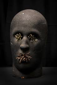 William Rodwell's Instagram, Twitter & Facebook