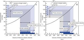 Image result for Pulse Pressure