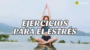 Eldiario.es hace 4 horas toñi abenza. Ejercicios Basicos De Yoga Para Relajarse En Casa