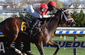 Line Through The Preakness Bourbon War On To The Belmont