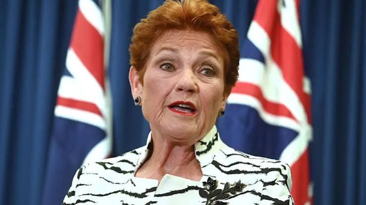Another million people': Hanson's wild claim - Yahoo News Australia