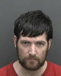 Accused drug dealer accepts plea deal in overdose death of Plant High  student