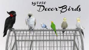 Enjoy the videos and music you love, upload original content, and share it all with friends, family, and the world on youtube. Sg5150 Decor Birds Edits By Sg5150 Cockatoo 20281 High Poly Cockatiel 15202 High Poly Budgie 5051 Poly Cage And Bir Sims 4 Pets Sims 4 Characters Sims 4