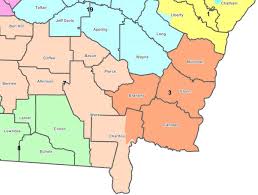 A form of representative government has existed in georgia since january 1751. Us House Runoffs Top Ballot For Georgia Voters