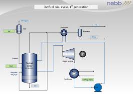 Oxygen Cycle Flow Chart Diagram Nationalphlebotomycollege