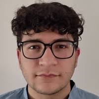 80+ "Sidoti" profiles