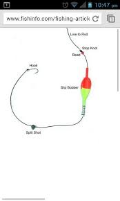 Fishing Line Setup Steelhead Fishing Fish Fishing Knots