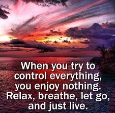 Enjoying Life Not Caring Quote Quote Number 665111 Picture Quotes