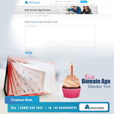 Bulk Domain Age Checker Tool Seo Tools Checker Place Card Holders