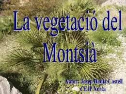 Biblioteca d'activitats JClic