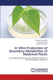 Maybe you would like to learn more about one of these? In Vitro Production Of Secondary Metabolites Of Medicinal Plants Secondary Metabolites From Medicinal Plants A Biotechnological Approach Chaturvedi Pratibha Khanna Pushpa Chowdhary Abhay 9783659120329 Amazon Com Books