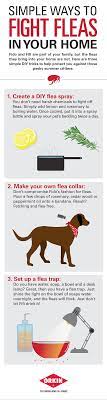 3 Simple Ways To Fight Fleas Diy Fleas Dog Remedies Flea Remedies