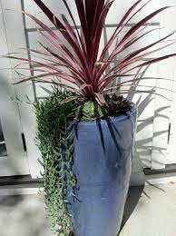Check spelling or type a new query. Tall Blue Pot Modern Planters Front Door Planters Planters