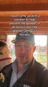 What Should I Do to Get My Horse to Stop Feeding Off Other Horses Actions